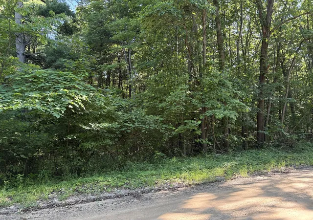 4th image of 104Th Ave, Allegan, MI 49010 | MLS# 70541694