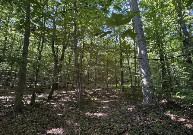 7th image of 104th Ave, Allegan, MI 49010 | MLS# 70541694