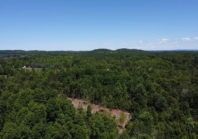 Homes for sale in Bear Lake, MI | 791 Acres Butwell Rd, Bear Lake, MI 49614 | MLS# 70541724
