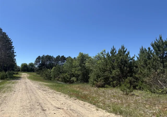 Homes for sale in Bear Lake, MI | 791 Acres Butwell Rd, Bear Lake, MI 49614 | MLS# 70541724