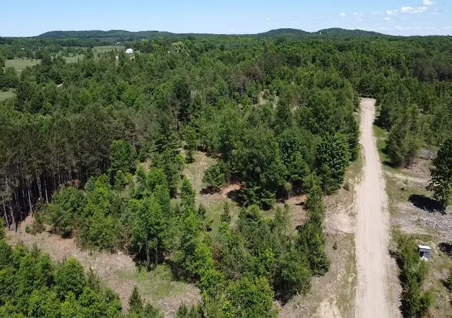 Homes for sale in Bear Lake, MI | 791 Acres Butwell Rd, Bear Lake, MI 49614 | MLS# 70541724