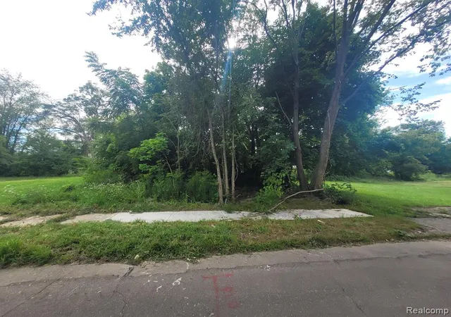 Photo 3 of Land for sale at 3443 Beals St, Detroit, MI 48214 | MLS# 60331329 | Listing updated on 2026-08-04
