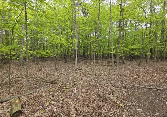 5th image of 10816 Adams St, Holland, MI 49423 | MLS# 70531415