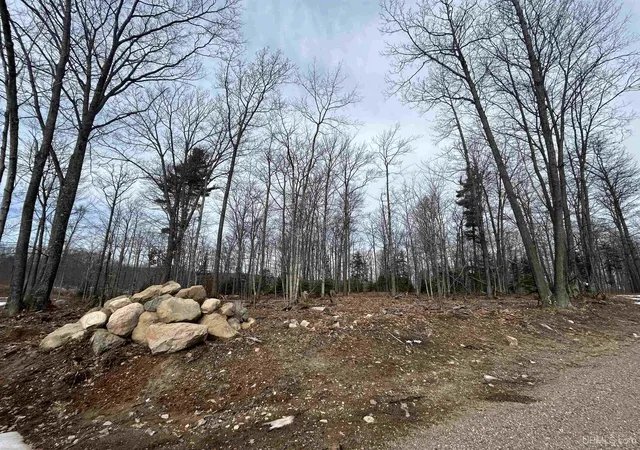 Homes for sale in Negaunee, MI | Parcel 1a Bridgeview Ln, Negaunee, MI 49866 | MLS# 50168152