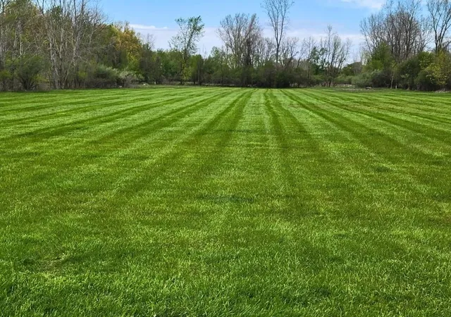 Photo 2 of Land for sale at 6314 Trinklein Rd, Saginaw, MI 48609 | MLS# 50197959 | Listing updated on 2026-05-11