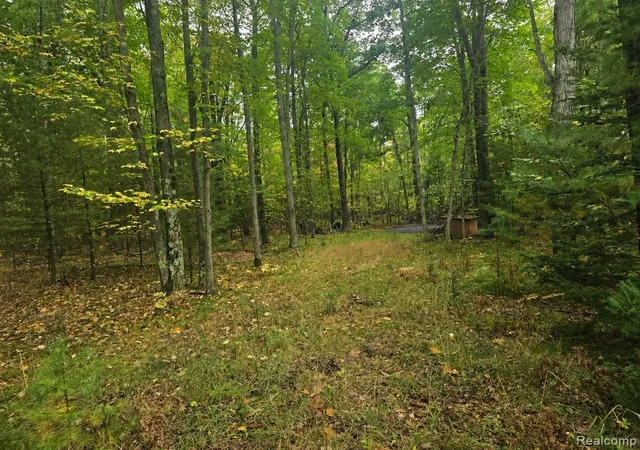 Photo 2 of Land for sale at Vl Lucinda, Prescott, MI 48756 | MLS# 61019576 | Listing updated on 2026-08-12