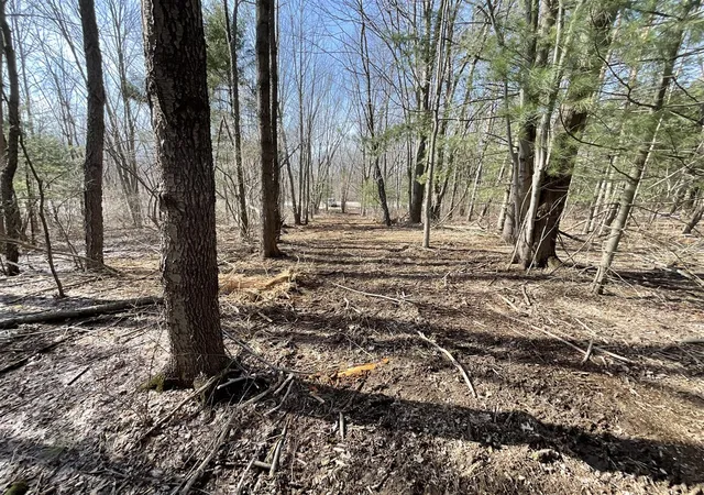 Photo 3 of Land for sale at D2 70th Street, South Haven, MI 49090 | MLS# 70460851 | Listing updated on 2026-08-07