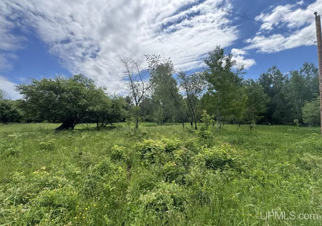 Homes for sale in Baraga, MI | Tbd Bellaire Rd, Baraga, MI 49908 | MLS# 50201245