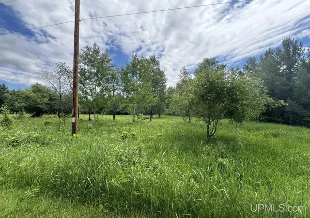Homes for sale in Baraga, MI | Tbd Bellaire Rd, Baraga, MI 49908 | MLS# 50201245