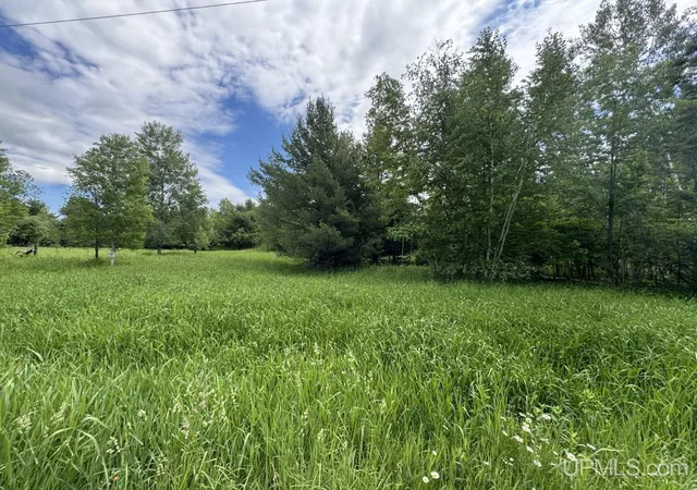 Homes for sale in Baraga, MI | Tbd Bellaire Rd, Baraga, MI 49908 | MLS# 50201245