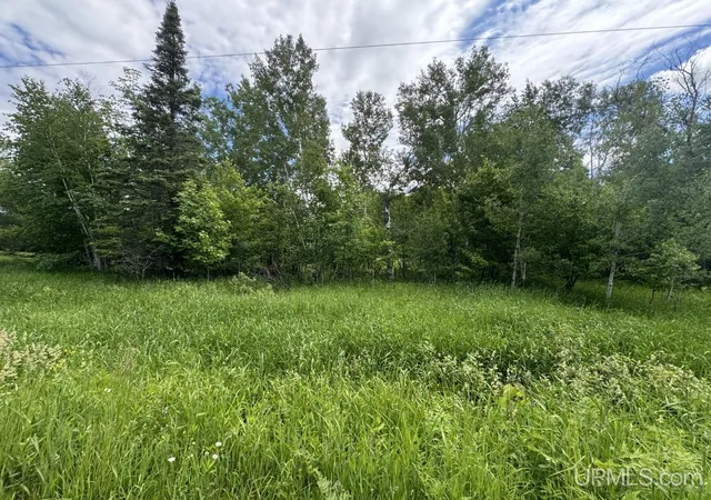 Homes for sale in Baraga, MI | Tbd Bellaire Rd, Baraga, MI 49908 | MLS# 50201245