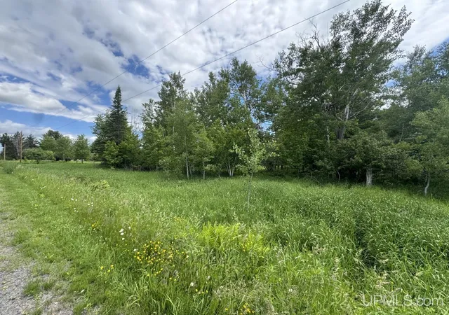 Homes for sale in Baraga, MI | Tbd Bellaire Rd, Baraga, MI 49908 | MLS# 50201245