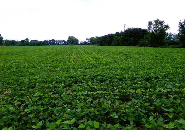 Photo 1 of Land for sale at Tbd Garfield Rd, Saginaw, MI 48603 | MLS# 80072129 | Listing updated on 2026-08-12