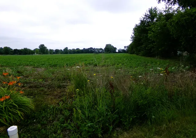 Photo 2 of Land for sale at Tbd Garfield Rd, Saginaw, MI 48603 | MLS# 80072129 | Listing updated on 2026-08-12