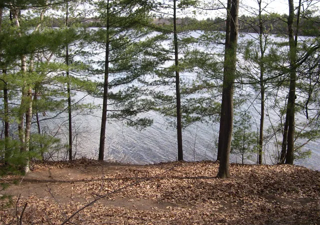 Photo 2 of Land for sale at 1565 Edgewater Ridge, Traverse City, MI 49684 | MLS# 80066938 | Listing updated on 2026-07-30