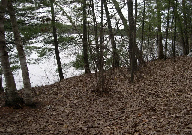 Photo 3 of Land for sale at 1565 Edgewater Ridge, Traverse City, MI 49684 | MLS# 80066938 | Listing updated on 2026-07-30