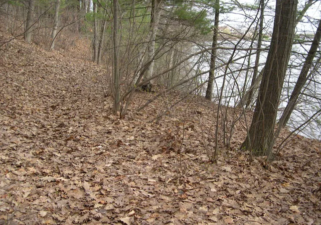Photo 4 of Land for sale at 1565 Edgewater Ridge, Traverse City, MI 49684 | MLS# 80066938 | Listing updated on 2026-07-30