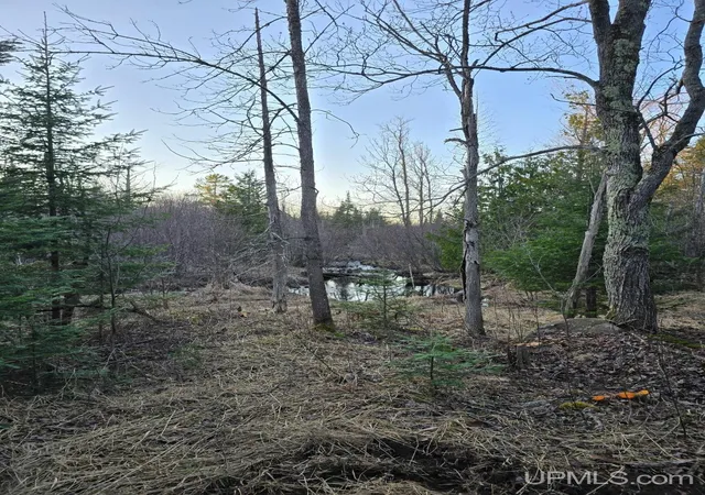 Photo 1 of Sale Pending at 689 Dalton Rd, Skandia, MI 49885 | MLS# 50220278 | Listing updated on 2026-09-09
