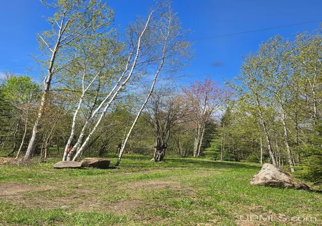 Photo 2 of Sale Pending at 689 Dalton Rd, Skandia, MI 49885 | MLS# 50220278 | Listing updated on 2026-09-09