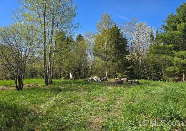 Photo 3 of Sale Pending at 689 Dalton Rd, Skandia, MI 49885 | MLS# 50220278 | Listing updated on 2026-09-09