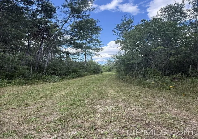 4th image of 135' Lakefront N Gulliver Lake Rd, Gulliver, MI 49840 | MLS# 50219249