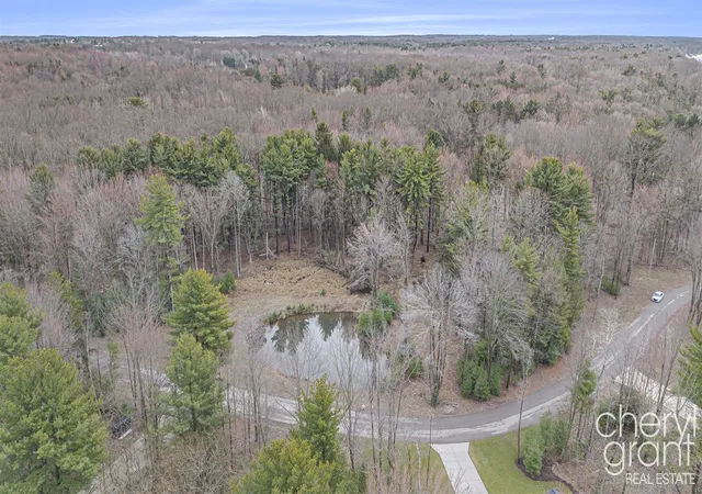 3rd image of 0 Pebble Ln, Fennville, MI 49408 | MLS# 70532994