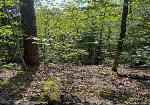 Photo 4 of Land for sale at Lot 1 (north) M 64 Hwy, Ontonagon, MI 49953 | MLS# 50218507 | Listing updated on 2026-08-14