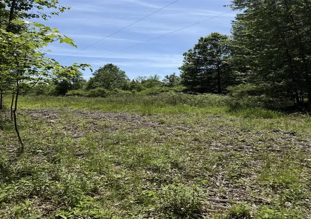 Photo 1 of Sale Pending at V/l 50th St, Bangor, MI 49013 | MLS# 70535880 | Listing updated on 2026-09-17