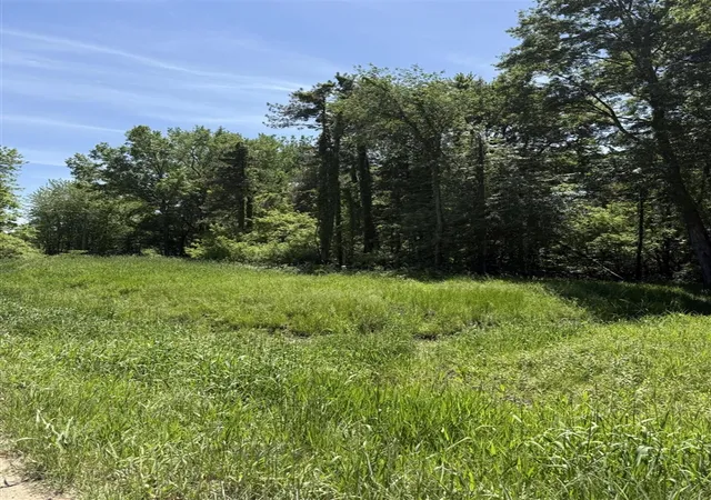 Photo 3 of Sale Pending at V/l 50th St, Bangor, MI 49013 | MLS# 70535880 | Listing updated on 2026-09-17