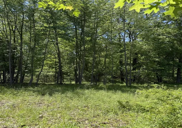 Photo 3 of Sale Pending at V/l 50th St, Bangor, MI 49013 | MLS# 70535880 | Listing updated on 2026-09-17
