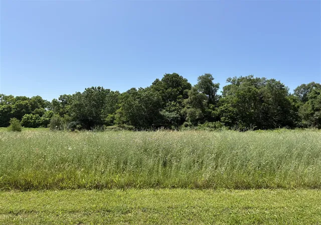 Homes for sale in Galesburg, MI | 256 Van Bruggen St, Galesburg, MI 49053 | MLS# 70542754