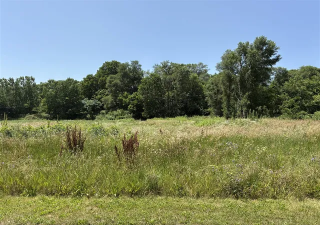Homes for sale in Galesburg, MI | 256 Van Bruggen St, Galesburg, MI 49053 | MLS# 70542754