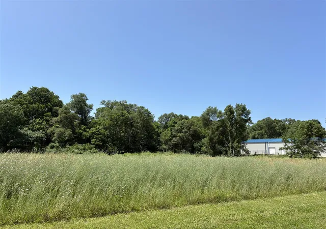 Photo 3 of Land for sale at 256 Van Bruggen St, Galesburg, MI 49053 | MLS# 70542754 | Listing updated on 2026-07-02