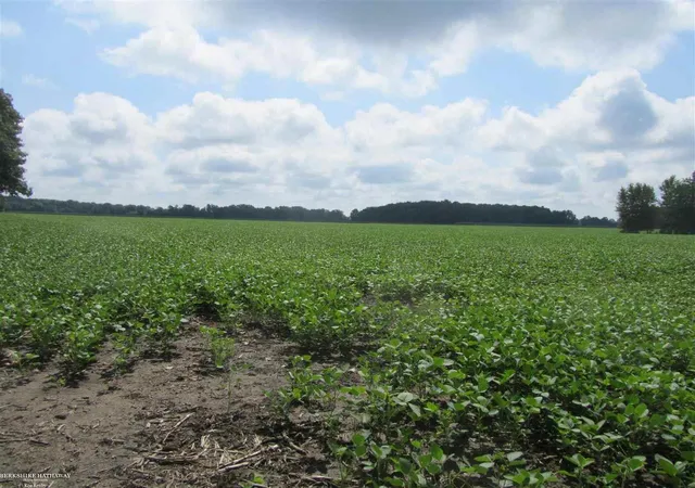 Photo 3 of Land for sale at 0 Capac, Armada, MI 48005 | MLS# 50063654 | Listing updated on 2026-04-27
