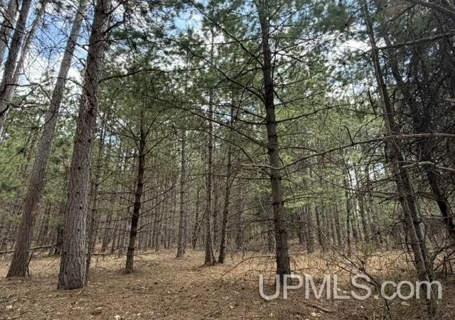 Homes for sale in Pembine T Wi, WI | Tbd Hatalak Dr, Pembine T Wi, WI 54156 | MLS# 50212522