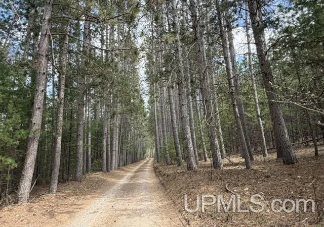 Homes for sale in Pembine T Wi, WI | Tbd Hatalak Dr, Pembine T Wi, WI 54156 | MLS# 50212522