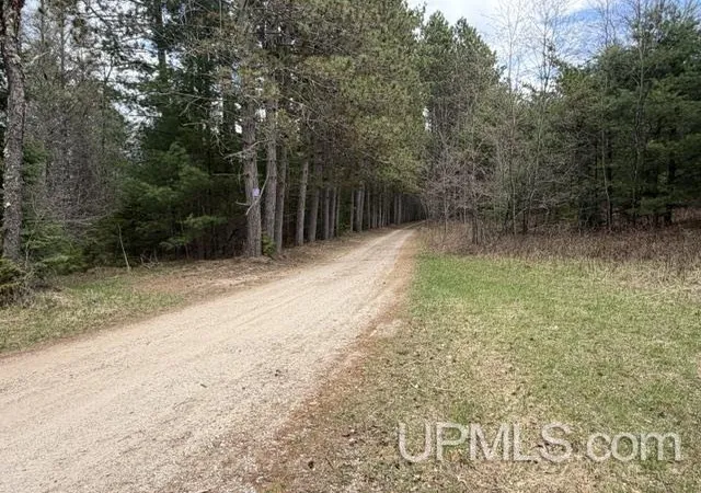 Homes for sale in Pembine T Wi, WI | Tbd Hatalak Dr, Pembine T Wi, WI 54156 | MLS# 50212522