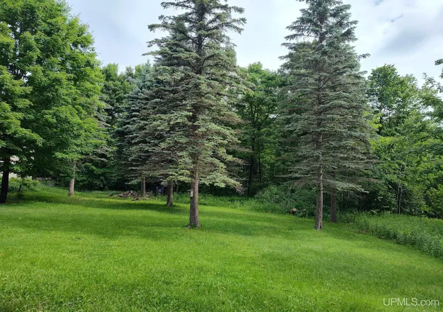 Homes for sale in Iron River, MI | 497 Bates Amasa Road Road, Iron River, MI 49935 | MLS# 50212254