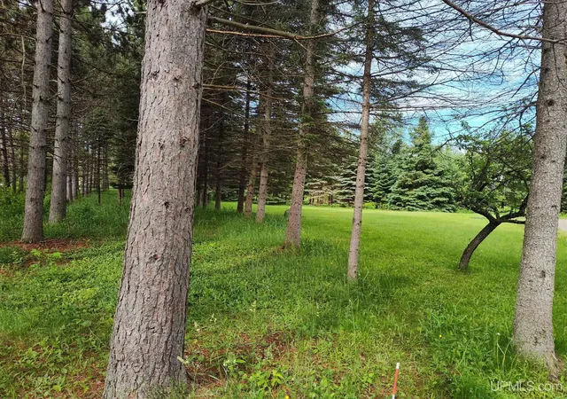 Homes for sale in Iron River, MI | 497 Bates Amasa Road Road, Iron River, MI 49935 | MLS# 50212254