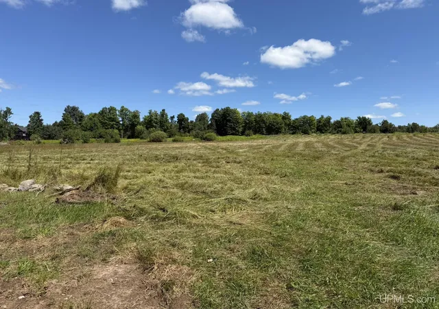 Photo 2 of Sale Pending at Tbd Gendzwill Dr, Iron River, MI 49935 | MLS# 50184454 | Listing updated on 2026-09-04