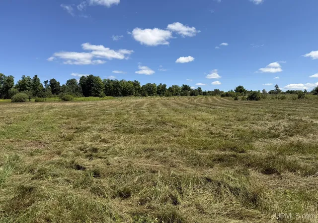 Photo 33 of Sale Pending at Tbd Gendzwill Dr, Iron River, MI 49935 | MLS# 50184454 | Listing updated on 2026-09-04
