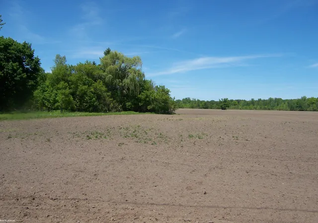 Homes for sale in Kimball, MI | Lot 3 Lapeer Rd Rd, Kimball, MI 48074 | MLS# 50209878