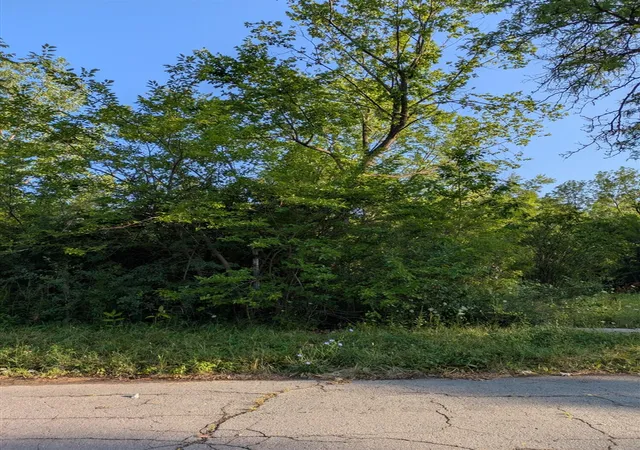 Photo 1 of Land for sale at 2640 W Forest Ave, Detroit, MI 48208 | MLS# 70547729 | Listing updated on 2026-09-15