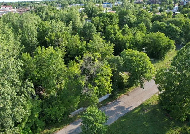 Photo 4 of Land for sale at 2640 W Forest Ave, Detroit, MI 48208 | MLS# 70547729 | Listing updated on 2026-09-15