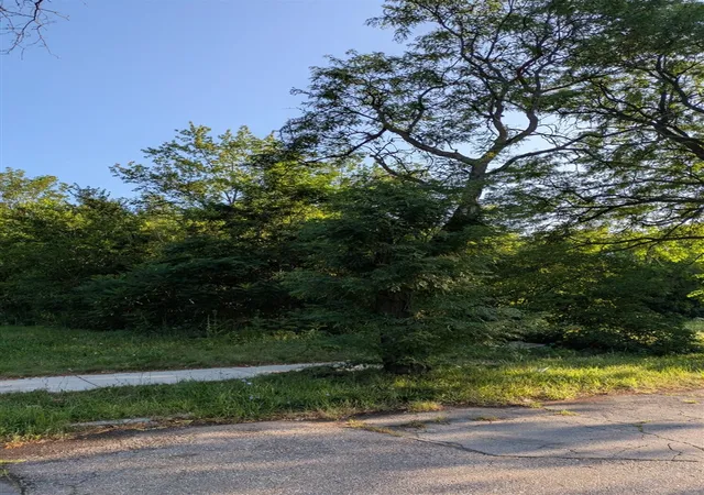 Photo 6 of Land for sale at 2640 W Forest Ave, Detroit, MI 48208 | MLS# 70547729 | Listing updated on 2026-09-15