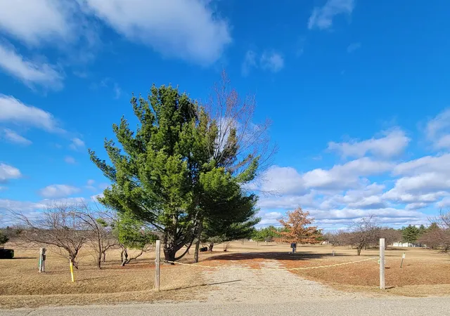 Photo 1 of Land for sale at 4415 Hamilton Way, Gladwin, MI 48624 | MLS# 50202884 | Listing updated on 2026-03-31