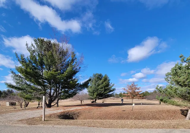 Photo 3 of Land for sale at 4415 Hamilton Way, Gladwin, MI 48624 | MLS# 50202884 | Listing updated on 2026-03-31