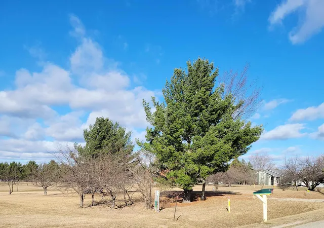 Photo 3 of Land for sale at 4415 Hamilton Way, Gladwin, MI 48624 | MLS# 50202884 | Listing updated on 2026-03-31