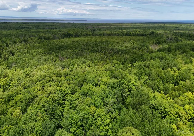 Photo 3 of Land for sale at Tbd20 Skanee Rd, Skanee, MI 49962 | MLS# 50211631 | Listing updated on 2026-08-26