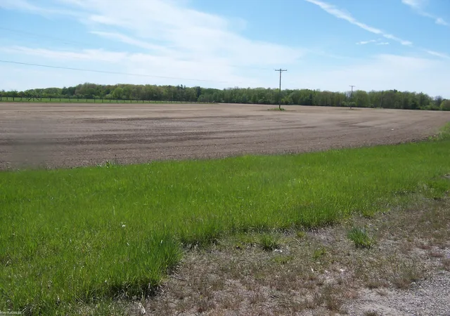 Homes for sale in Avoca, MI | Vacant Kilgore Rd Rd, Avoca, MI 48006 | MLS# 50208502